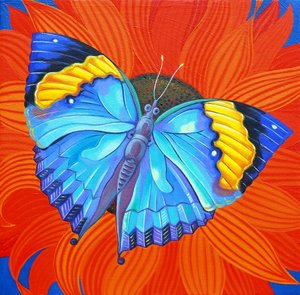 Borboleta De Folha Indiana, 2014,